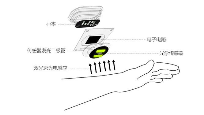 详解心率监测穿戴设备的原理作用及使用时的注意要点